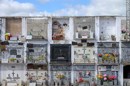 Cementerio de Treinta y Tres. Nichos - Departamento de Treinta y Tres - URUGUAY. Foto No. 70058