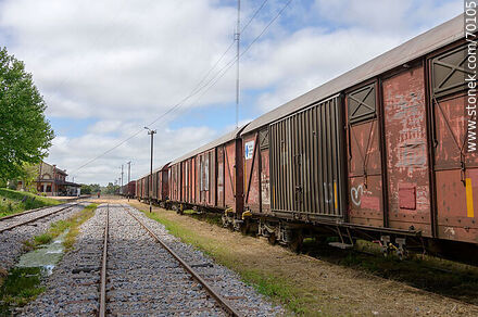 Antiguos vagones de carga de AFE - Departamento de Treinta y Tres - URUGUAY. Foto No. 70105