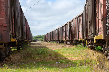 Former AFE freight cars - Department of Treinta y Tres - URUGUAY. Photo #70102