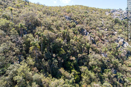 Vista aérea de un sector de la Quebrada de los Cuervos - Departamento de Treinta y Tres - URUGUAY. Foto No. 70271