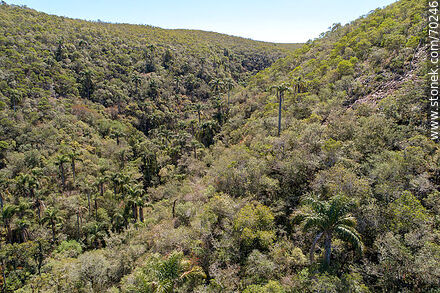 Vista aérea de un sector de la Quebrada de los Cuervos - Departamento de Treinta y Tres - URUGUAY. Foto No. 70246