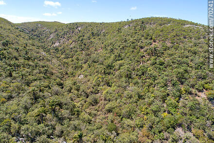 Vista aérea de un sector de la Quebrada de los Cuervos - Departamento de Treinta y Tres - URUGUAY. Foto No. 70241
