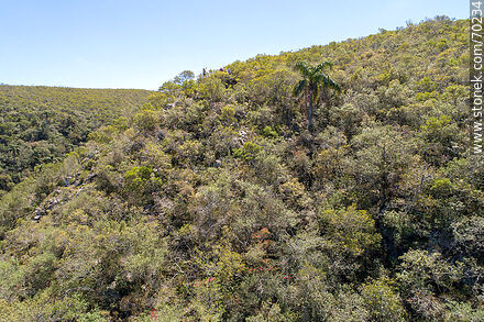 Vista aérea de un sector de la Quebrada de los Cuervos - Departamento de Treinta y Tres - URUGUAY. Foto No. 70234