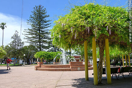 Plaza de Tala. Sombra de glicina - Departamento de Canelones - URUGUAY. Foto No. 70394