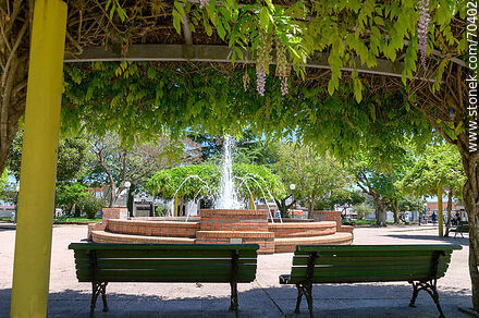 Plaza de Tala. Bancos a la sombra de la glicina - Departamento de Canelones - URUGUAY. Foto No. 70402