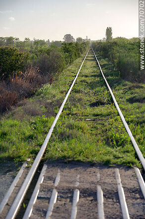 Tapia Railroads - Department of Canelones - URUGUAY. Photo #70702