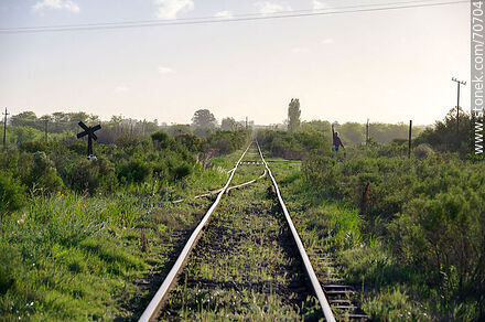 Vías de tren de Tapia - Departamento de Canelones - URUGUAY. Foto No. 70704