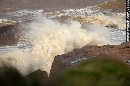 El mar rompiendo sobre las rocas en una sudestada - Departamento de Maldonado - URUGUAY. Foto No. 71227