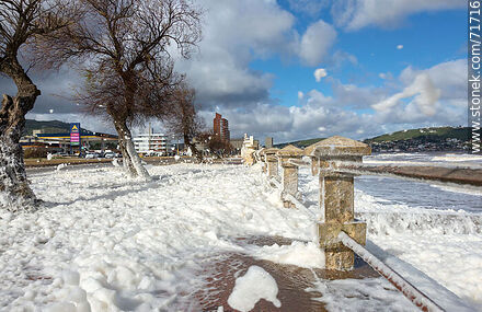 The promenade dotted with sea foam - Department of Maldonado - URUGUAY. Photo #71716