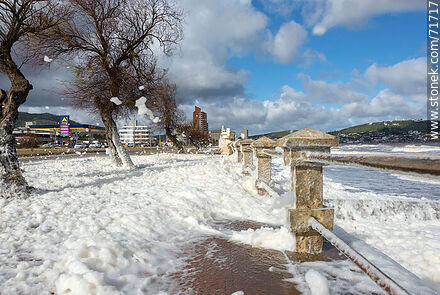 The promenade dotted with sea foam - Department of Maldonado - URUGUAY. Photo #71717