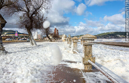 The promenade dotted with sea foam - Department of Maldonado - URUGUAY. Photo #71718