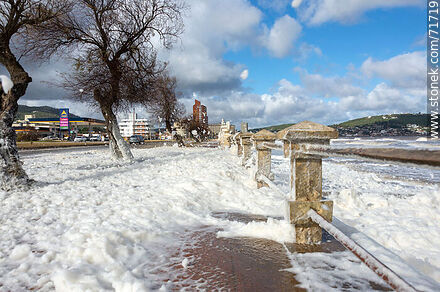 The promenade dotted with sea foam - Department of Maldonado - URUGUAY. Photo #71719