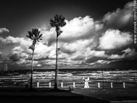 High contrast in black and white of Piriápolis beach in winter -  - MORE IMAGES. Photo #71798