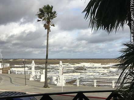 Rough sea on a windy winter's day - Department of Maldonado - URUGUAY. Photo #71799