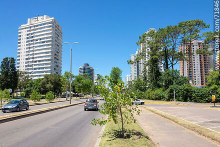 Avenida Roosevelt - Punta del Este y balnearios cercanos - URUGUAY. Foto No. 71846