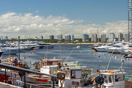 Boats in port - Punta del Este and its near resorts - URUGUAY. Photo #71859