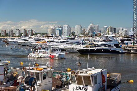Boats in port - Punta del Este and its near resorts - URUGUAY. Photo #71863