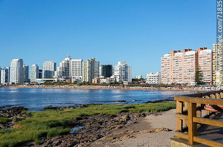 Punta del Este Bay and buildings on the Williman promenade - Punta del Este and its near resorts - URUGUAY. Photo #71835