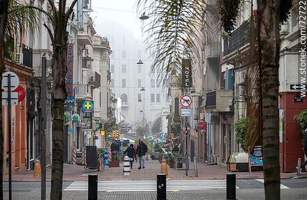 Pedestrian Perez Castellano - Department of Montevideo - URUGUAY. Photo #72722