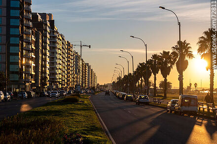 Winter sunrise on Mahatma Gandhi Boulevard - Department of Montevideo - URUGUAY. Photo #72811