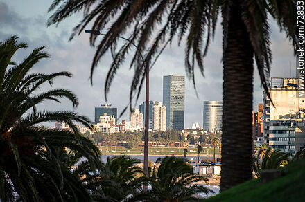 Torres del Buceo seen among the palm trees - Department of Montevideo - URUGUAY. Photo #72833