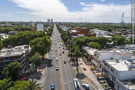 Aerial view from Bulevar Artigas - Department of Montevideo - URUGUAY. Photo #73123
