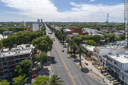Aerial view from Bulevar Artigas - Department of Montevideo - URUGUAY. Photo #73119