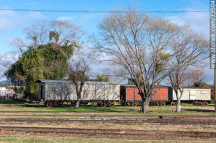 Vagones antiguos de la estación de trenes de Rivera - Departamento de Rivera - URUGUAY. Foto No. 73504