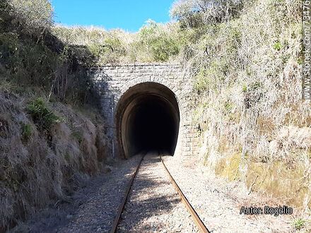 One of the entrances to the only railway tunnel on the line between Tacuarembó and Rivera. - Tacuarembo - URUGUAY. Photo #73476