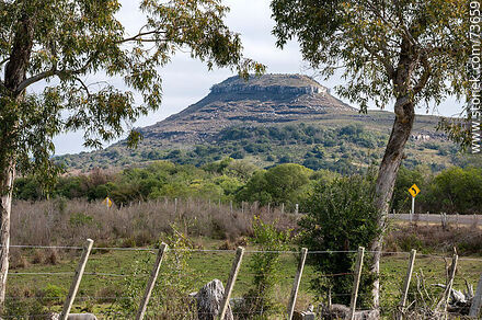Cerro Miriñaque hill among the trees - Department of Rivera - URUGUAY. Photo #73659