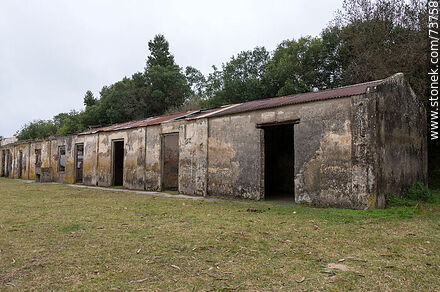 Ruinas próximas a la casa del director de la empresa francesa de minería - Departamento de Rivera - URUGUAY. Foto No. 73758