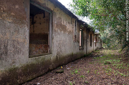 Ruinas próximas a la casa del director de la empresa francesa de minería - Departamento de Rivera - URUGUAY. Foto No. 73759