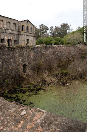 Antiguo embalse de la represa - Departamento de Rivera - URUGUAY. Foto No. 73842