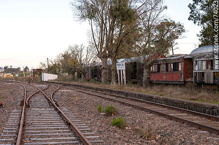 Estación de trenes Piedra Sola. Vías y vagones antiguos - Departamento de Paysandú - URUGUAY. Foto No. 74023