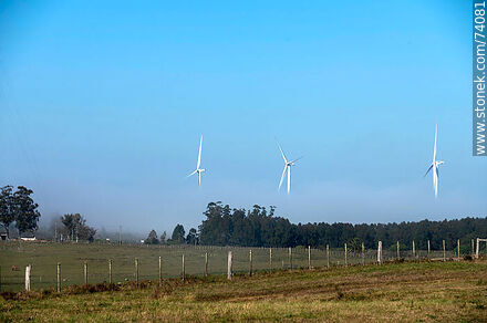 Wind turbines emerging from the morning fog near the Pampa station on Route 5. - Tacuarembo - URUGUAY. Photo #74081
