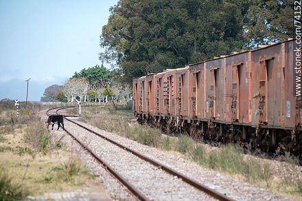 Línea de vagones de carga - Departamento de Tacuarembó - URUGUAY. Foto No. 74152