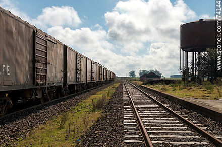Freight cars in the station on a secondary track - Tacuarembo - URUGUAY. Photo #74144