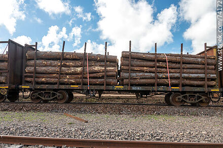 Vagones de carga con troncos que vienen del norte para descargar en camiones (2021) - Departamento de Tacuarembó - URUGUAY. Foto No. 74172