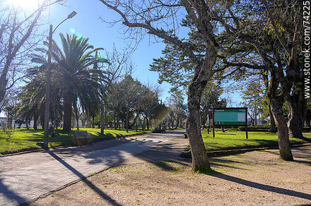 Plaza de Tupambaé - Departamento de Cerro Largo - URUGUAY. Foto No. 74225