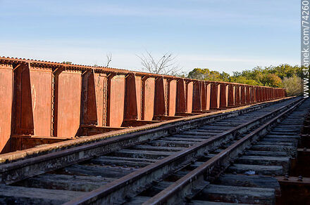 Puente ferroviario sobre el arroyo Fraile Muerto - Departamento de Cerro Largo - URUGUAY. Foto No. 74260