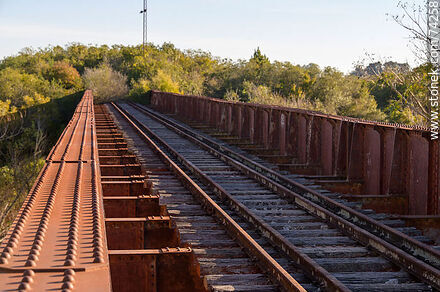 Puente ferroviario sobre el arroyo Fraile Muerto - Departamento de Cerro Largo - URUGUAY. Foto No. 74258