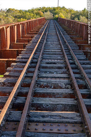 Puente ferroviario sobre el arroyo Fraile Muerto - Departamento de Cerro Largo - URUGUAY. Foto No. 74257