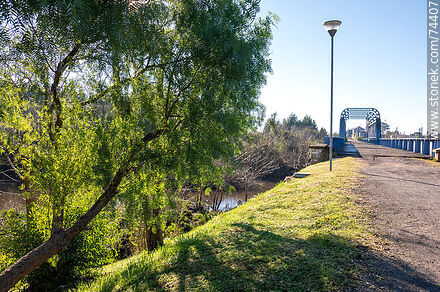 Camino asfaltado sobre la antigua línea ferroviaria - Department of Cerro Largo - URUGUAY. Photo #74407