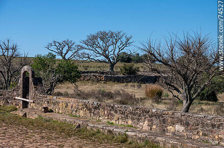 Stone fence in Posta del Chuy - Department of Cerro Largo - URUGUAY. Photo #74527