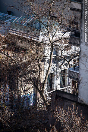 Antigua casa con claraboyas entre las ramas - Departamento de Montevideo - URUGUAY. Foto No. 75009