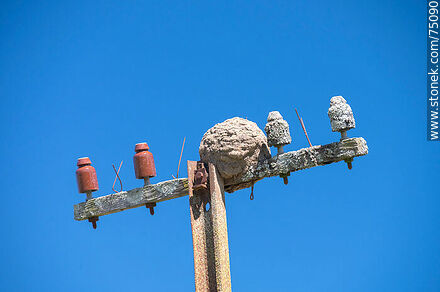 Nido de hornero en una antigua columna de tendido eléctrico - Departamento de Canelones - URUGUAY. Foto No. 75090