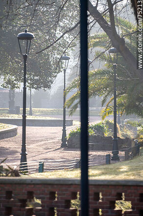 Amanecer invernal en el parque - Departamento de Montevideo - URUGUAY. Foto No. 75213