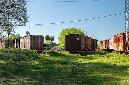 Estación de ferrocarril de San Ramón. Antiguos vagones de carga construidos de madera y hierro - Departamento de Canelones - URUGUAY. Foto No. 75252