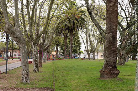 Plaza Artigas - Departamento de Durazno - URUGUAY. Foto No. 75359