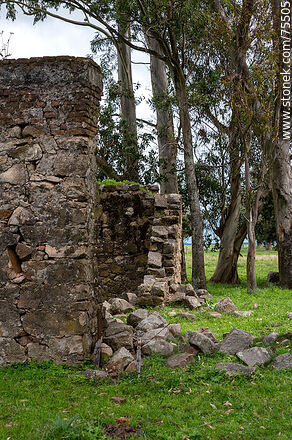 Ruinas en los fondos de lo que fur el Club Reboledo - Departamento de Florida - URUGUAY. Foto No. 75505